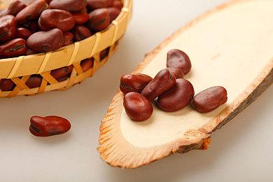 《最终幻想16》官方艺术设定集2024年3月上市 售价40美元